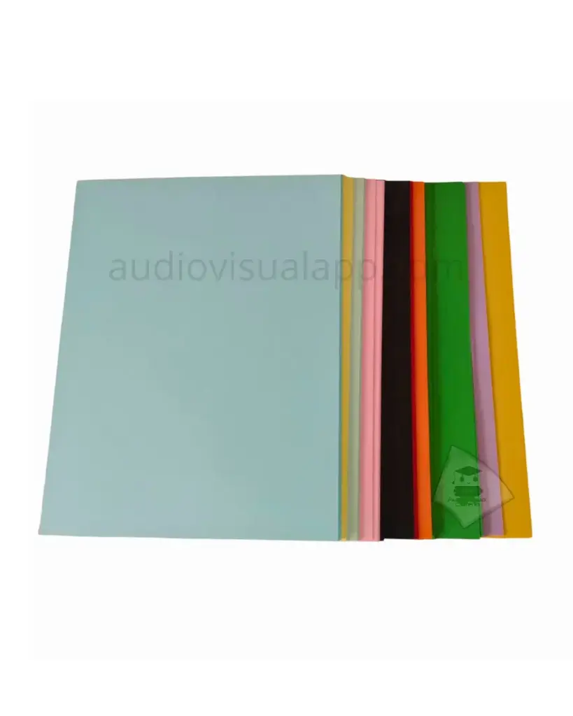 CARTULINA COLORES CARTA POINTER 100