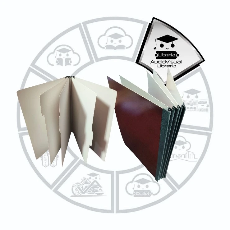 CARPETA EXPEDIENTE 3 DIVISIONES OFICIO
